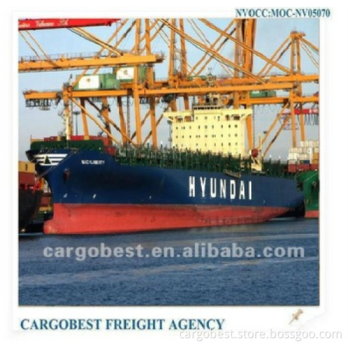 shipping cargo service from yantian to all over the world